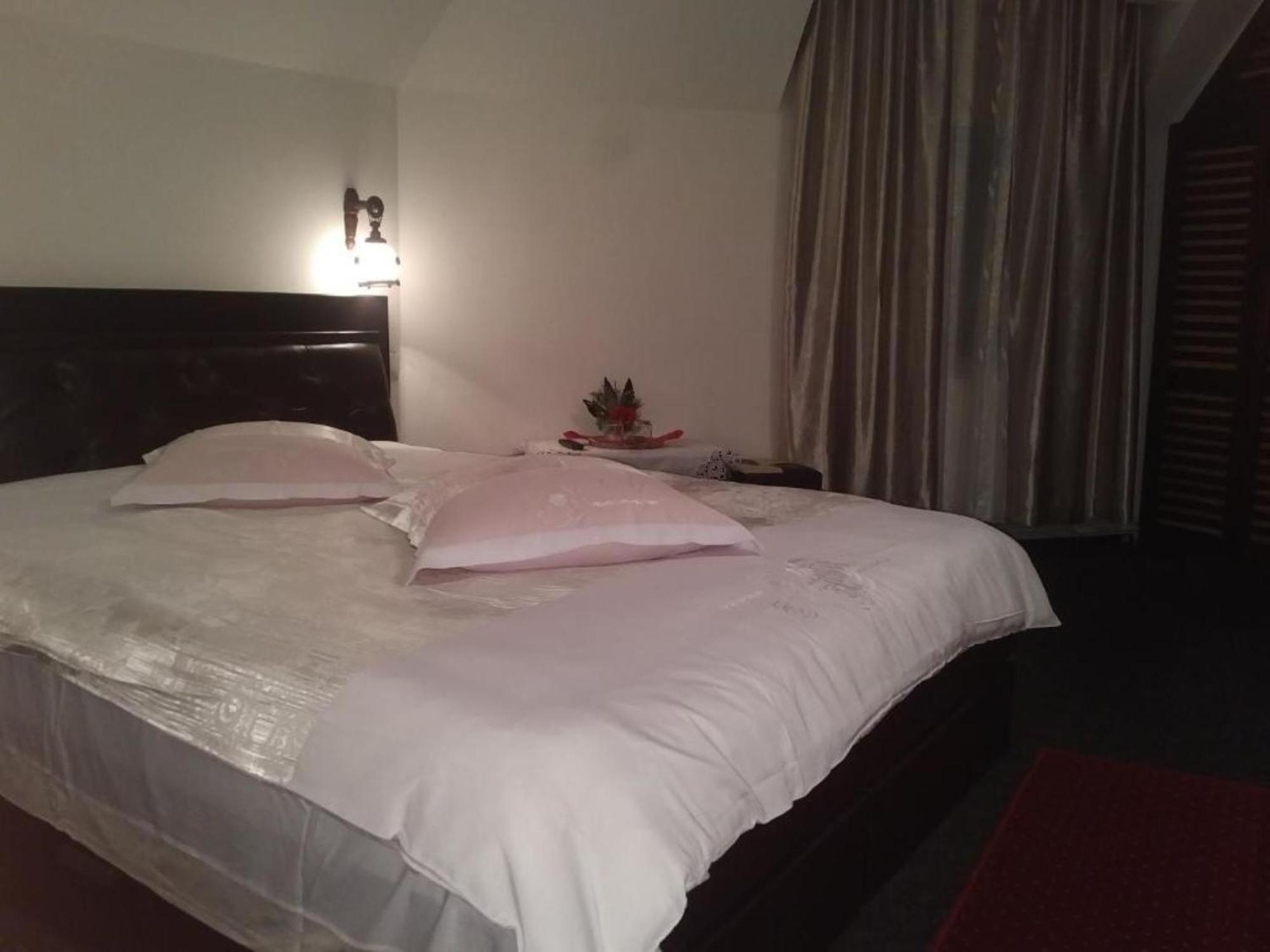 Pensiunea Millenium With Parking - Motorcycle Friendly Travel Routes Guest house