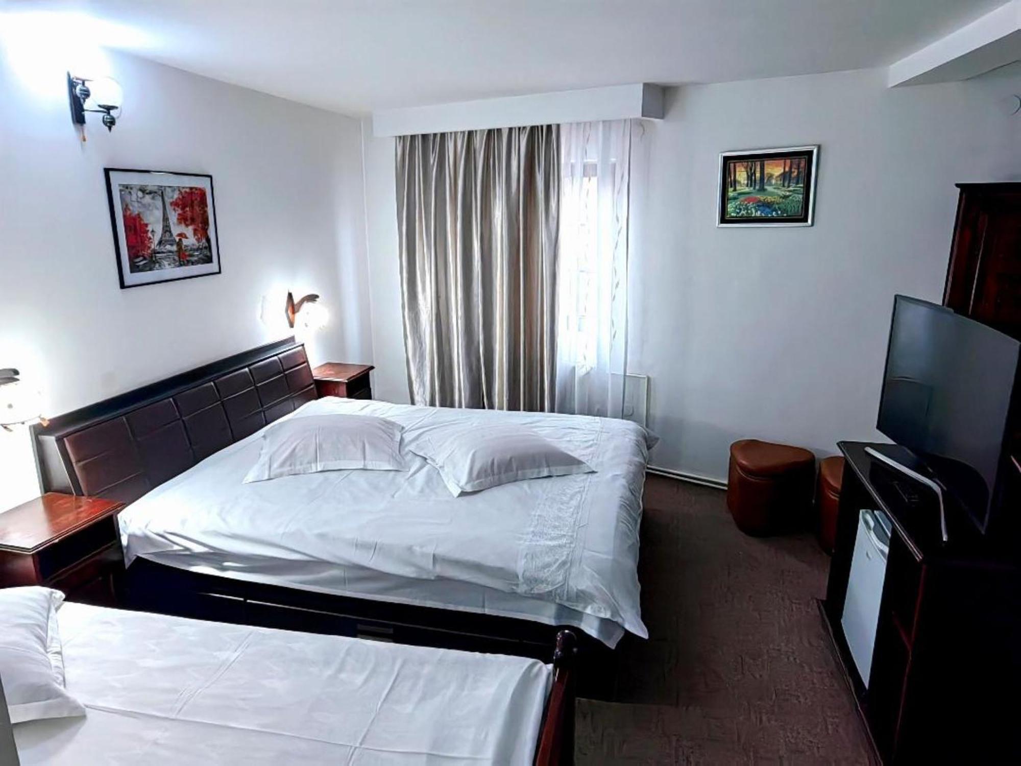 Guest house Pensiunea Millenium With Parking - Motorcycle Friendly Travel Routes 3*